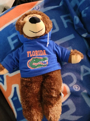 Toy Factory - Florida Gator Hoodie 13" Plush Teddy Bear- Collegiate Licensed. E2 Cover