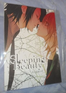 Gundam Samen Dornröschen Athrun Cagalli Doujinshi Buch 23.05.10 Nijika Kotohil - Bild 1 von 4