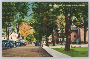 Postcard Main Street, Maplecrest In The Catskills - Picture 1 of 2