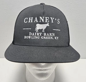 Chaney's Dairy Barn Bowling Green KY Gray & Black Mesh Snapback Trucker's Hat - Picture 1 of 5