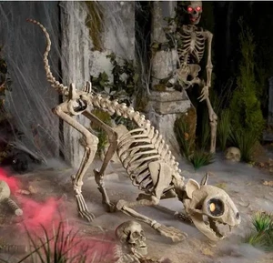 5 Ft. Long Grave & Bones LED Skelly'S Cat H21 - Picture 1 of 4