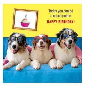 Birthday Card For All Whimsical Dog Theme Couch Potato Happy Birthday. - Picture 1 of 1