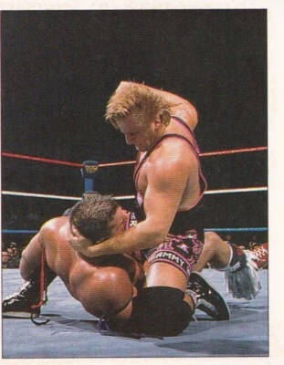 Tarjeta coleccionable pegatina Owen Hart WWF Panini lucha libre 1997 #138 WWE AEW Foto 1 de 4