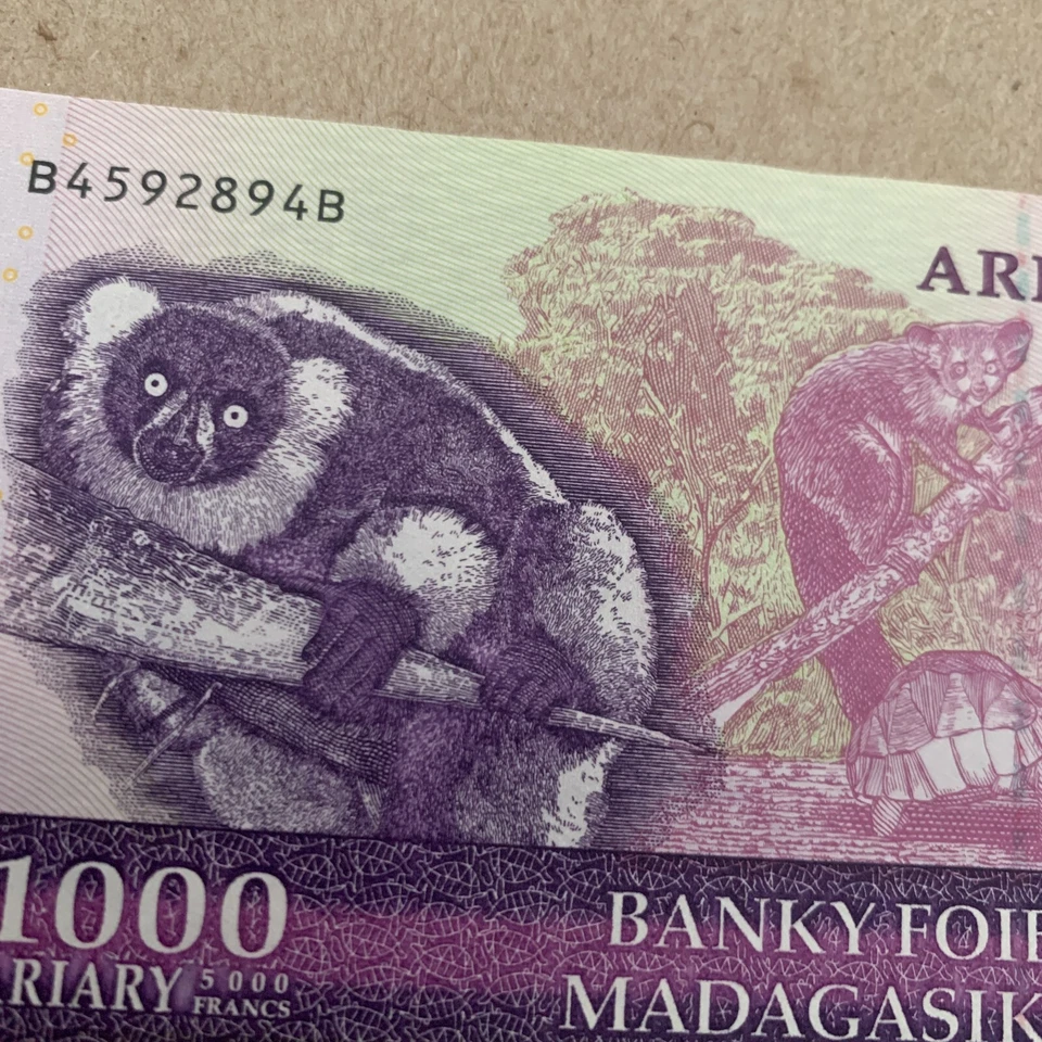 Lemur Note 1000 Ariary Banknote 2004 Animal Currency Purple Turtle See UV Image - Image 1 of 4