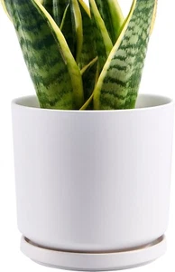 Tagobar Planter Plant Pot - 7.5 Inch Indoor Pot Ceramic White w/ Drainage Holes - Picture 1 of 6