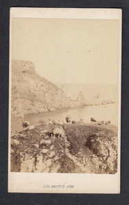 CARTE DE VISITE TORQUAY Ansteys Cove RP # 226 by William Spreat of EXETER - Picture 1 of 2