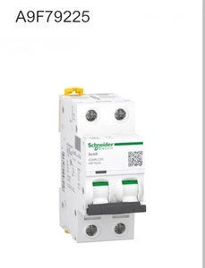 Interruttore magnetotermico iC60N 2P C 25A 6000AA9F79225 - Imagen 1 de 2