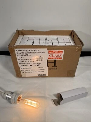 Restoration Hardware RH Camino Vintage Edison Tubes 15W T6 E12 Bulb (32-pack)