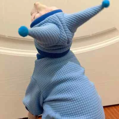 Sweatshirt Hat Suit for Sphynx Cat Winter Warm Coat for Kitten Spring Soft Thick - Image 1 of 4