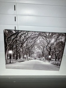 Winter Scene LED Battery Light Up Lighted Canvas Picture Wall Tabletop Frame Art - Picture 1 of 5
