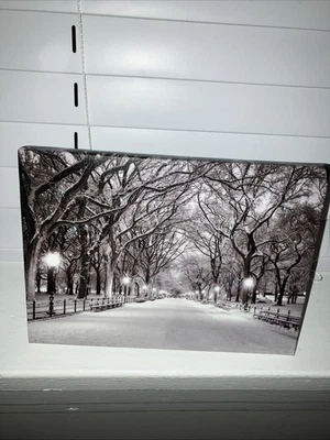 Winter Scene LED Battery Light Up Lighted Canvas Picture Wall Tabletop Frame Art - Image 1 of 4