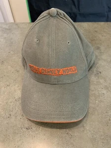 Walt Disney World Adult Gray Baseball Hat Adjustable Orange Logo - Picture 1 of 5