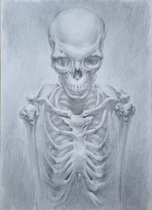 Human skeleton, original anatomy drawing, graphite pencil on paper. 10x14 inch - Picture 1 of 3