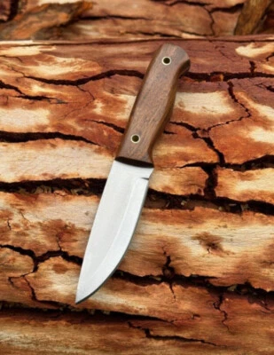 Cuchillo de hoja fija vintage con mango de madera | Lote de cuchillos | Juego de 2 piezas | Exterior EE. UU. Foto 1 de 4