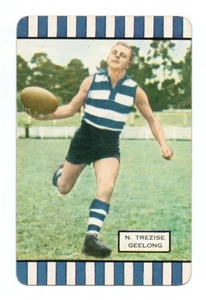 1954 Coles Series 2 Geelong - Neil TRESIZE - Picture 1 of 2
