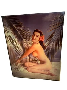 Lenticular 3-D Glass Plate Harvey Prever/ Paul Hesse Nude Woman # 2. 11” x 14” - Picture 1 of 5