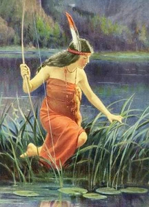 Indian Maiden Bow Pond Water Lilies - Picture 1 of 1