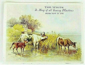 Máquina de coser de tarjetas comerciales No. Abington Ma. Vacas brocton victorianas White King - Imagen 1 de 3