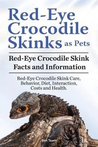 Red Eye Crocodile Skinks as pets. Red Eye Crocodile Skink Facts and - Imagen 1 de 1
