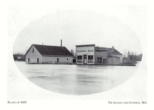 Postkarte Washington State Fir Island/Conway Überschwemmung von 1909 Skagit River postfrisch - Bild 1 von 2