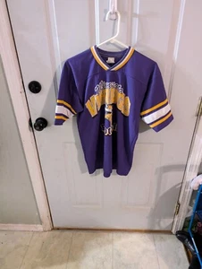 Vintage Minnesota Vikings NFL Boys 18/20 T Shirt Single Stitch Purple Logo 90s - Picture 1 of 14