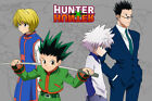 367037 Hunter X Hunter Group Map Japanese Manga Art Decor Print Poster Plakat