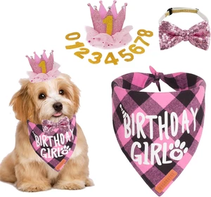 Dog Birthday Party Supplies, Multi Size Offered, Birthday Girl Dog Bandana, Pink - Picture 1 of 12