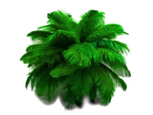 10 Pieces - 19-24" Dark Green Ostrich Dyed Drab Body Feathers Centerpiece Supply - Picture 1 of 9