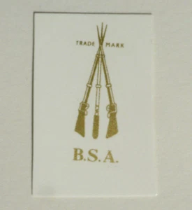 Calcomanía al agua con letras BSA, 10 x 28 mm, dorado, 90030B - Imagen 1 de 1