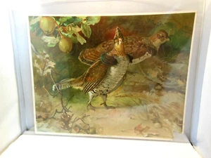 SELTEN 1900er RUFF'S BRAUEREI QUINCY ILL LITHO DRUCK RALPH TUCK RÜCKSEITE WERBUNG - Bild 1 von 12