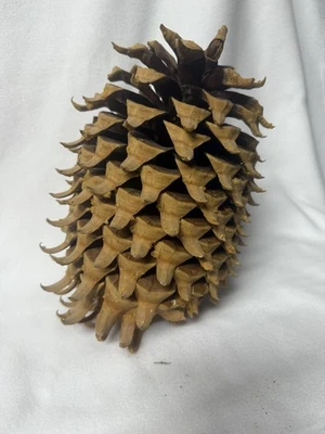 Piña Torry Gigante 13" alto x 8" ancho Foto 1 de 4