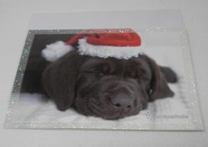 10cnt Rachel Hale Lab Dog Christmas Cards w/Glitter - Picture 1 of 2