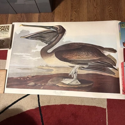 No.421 Brown Pelican Audubon Print 25X38.5” Heavy Paper - Image 1 of 4