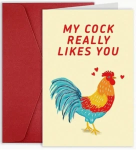 Beach Lamb Cards - Happy Birthday my Cock really likes you - FREE POST - Picture 1 of 3