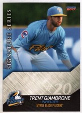 Trent Giambrone 2017 Choice Myrtle Beach Pelicans