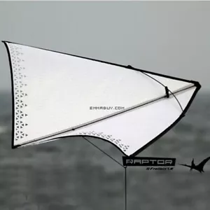 41" White Zero Wind Circling Delta Stunt Kite With Tail And Line for Beach kite - Picture 1 of 3