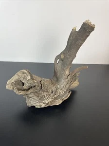 driftwood aquarium terrarium 10 X 10 River Driftwood formation - Picture 1 of 7