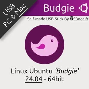 CLÉ USB BOOTABLE LINUX UBUNTU BUDGIE 24.04 64BIT DRIVE LIVE & INSTALL - Photo 1/14