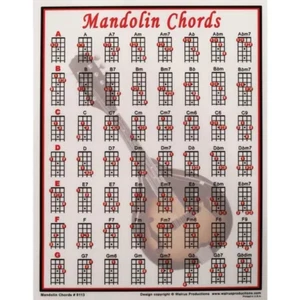 Tabla de acordes de mandolina Bluegrass para principiantes laminados 8,5" x 11" 8113 - Imagen 1 de 4