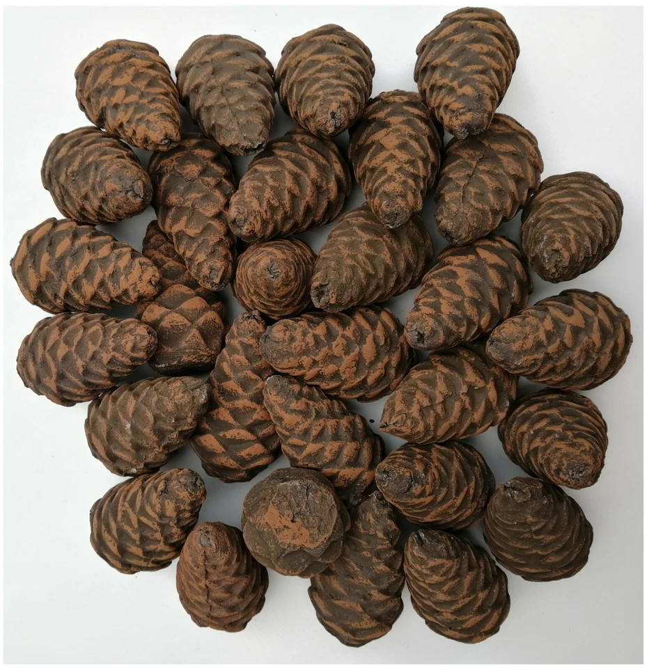 Peterson Gas Logs Decorative Ceramic Pine Cones in Assorted Sizes - Set of 4 by