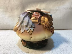 Boyds Bear Wee Folkstone Amber Faeriedreams Deep In The Forest 4E Figur 36107 - Bild 1 von 7