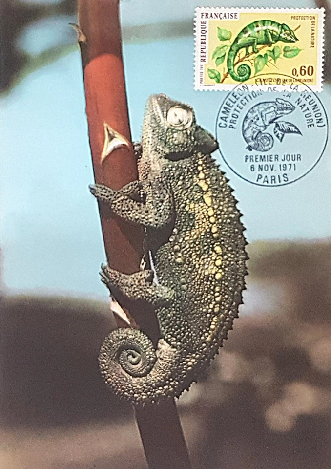 CARTE POSTALE 1er JOUR Caméléon de la Réunion 1971 France très bon état - Photo 1/1