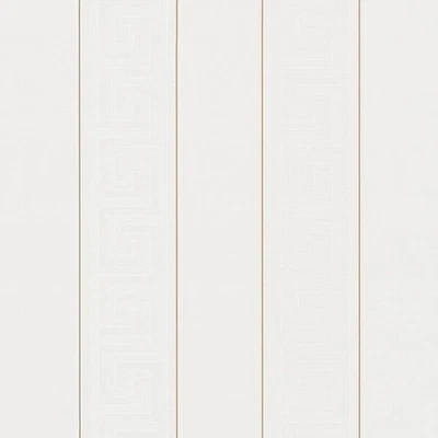 2-ROLLOS PAPEL PINTADO VERSACE 93524-1 (NUEVO OTRO) Foto 1 de 4