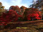 Photo 6x4 Autumnal colours in Bodnant Garden One of the best times of the c2007