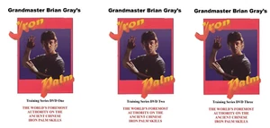 3 DVD Set Kung Fu Iron Palm Training a Complete Course by GrandMaster Brian Gray - Picture 1 of 4