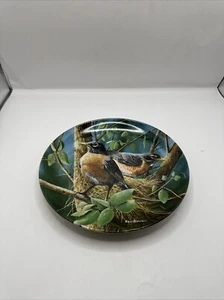 Placa de coleccionista "THE ROBIN" de Kevin Daniel - Knowles 1986 edición limitada - Imagen 1 de 2