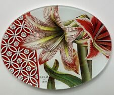 Michel Design Works Amaryllis Glass Soap Trinket  Dish Oval 6 1/4”x 4 3/4" NEW