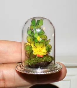 Casa de muñecas Mariposas Verdes Miniatura Realistas Cúpula de Vidrio Escala 1:12 NUEVAS COMO ROBLES - Imagen 1 de 12