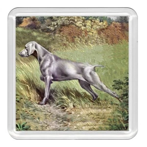 Weimaraner Hund Acryl Untersetzer Neuheit Getränk Tasse Matte tolles Geschenk - Bild 1 von 1