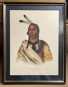 McKenney & Hall Sioux Chief Native American Print 1965 - Picture 1 of 9
